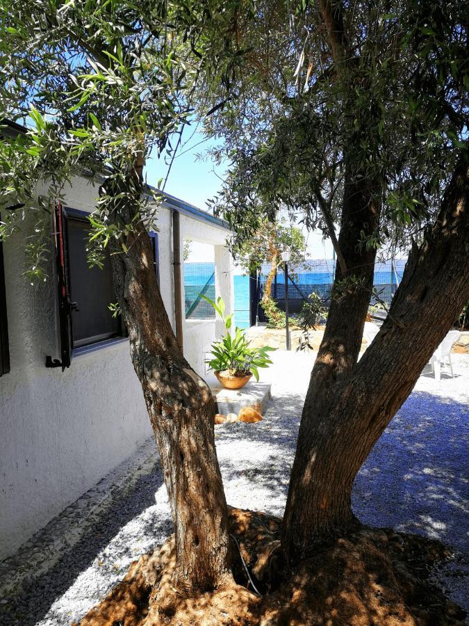 Villa La Plaja Cefalu Exterior photo